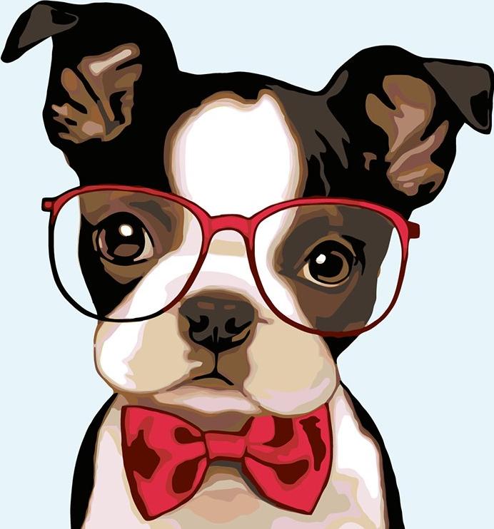 

Картина по номерам Живопись по Номерам Внимательный взгляд, 40x40, Внимательный взгляд