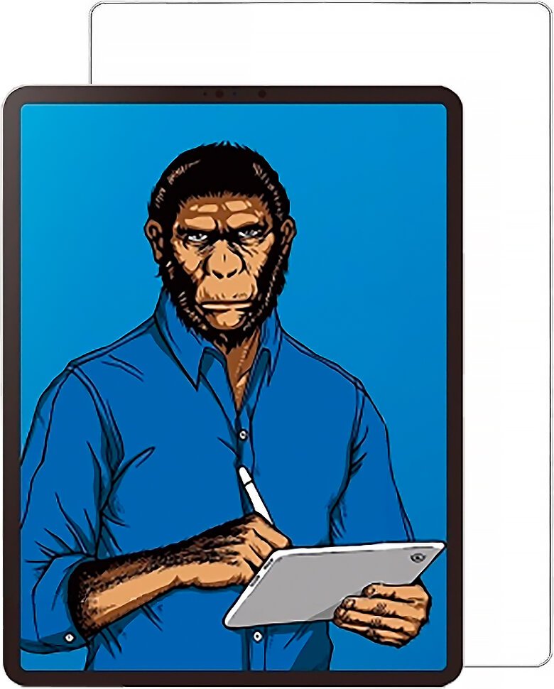

Пленка Blueo 2.5D Special writting для iPad Pro 11" 2018/2020/Air 10.9" 2020 матовая, Special writting