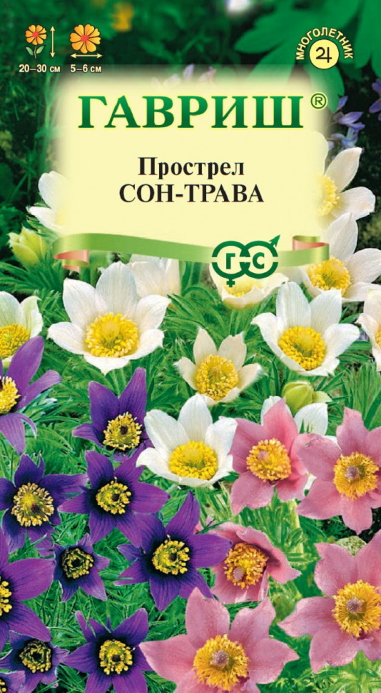

Семена прострел Сон-трава Гавриш 10003786-10 1 уп.