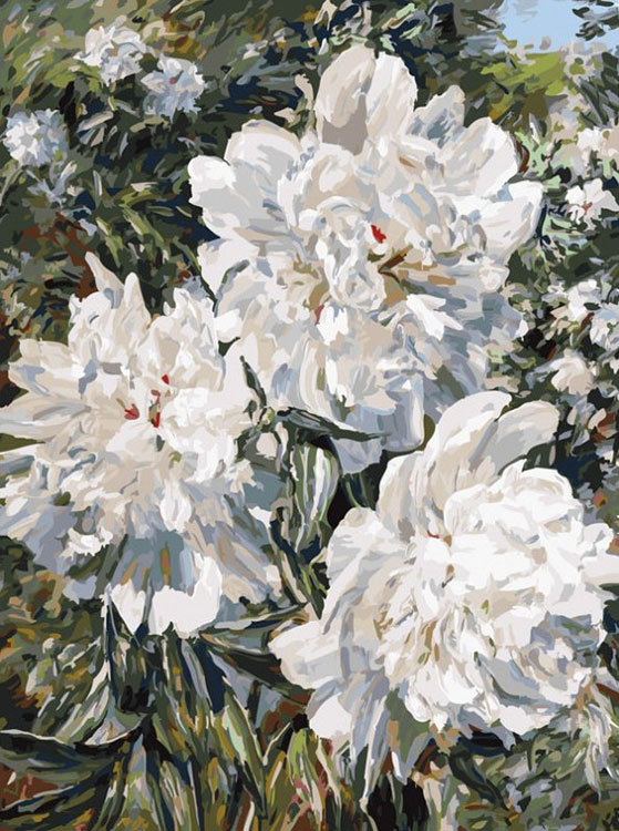 

Картина по номерам Белоснежка Пионы в саду, 30x40, Пионы в саду