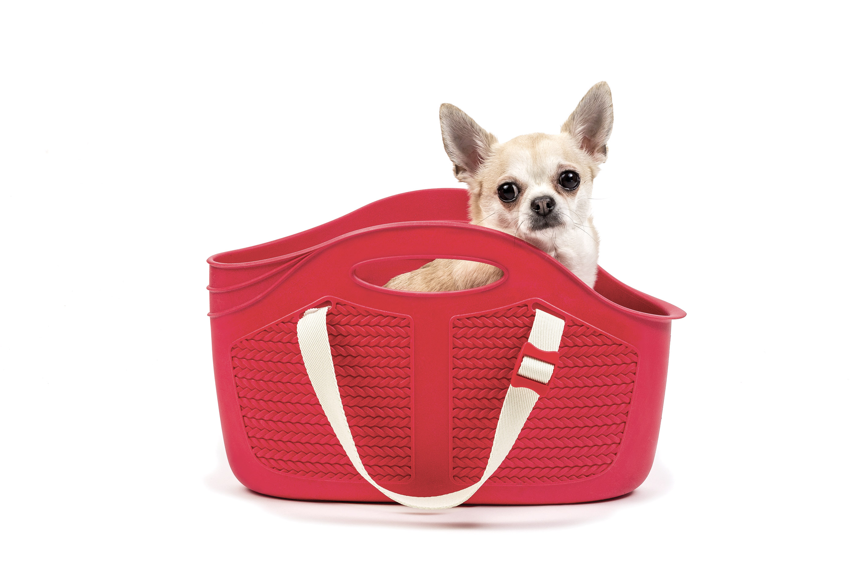 фото Сумка-переноска для кошки, собаки bama pet mia pet bag, красный, 24x40x15см
