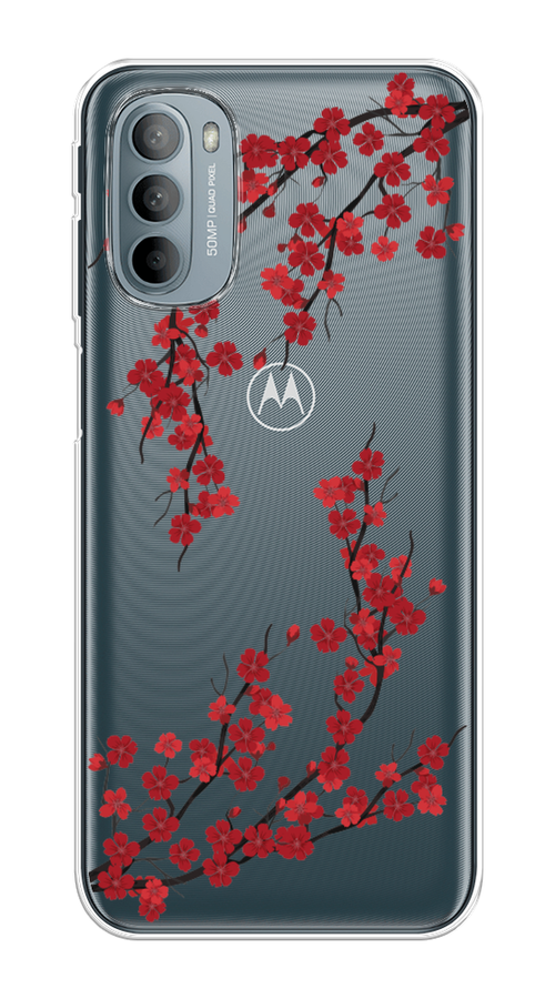 

Чехол на Motorola Moto G31 "Красная сакура", Красный;черный, 241850-2