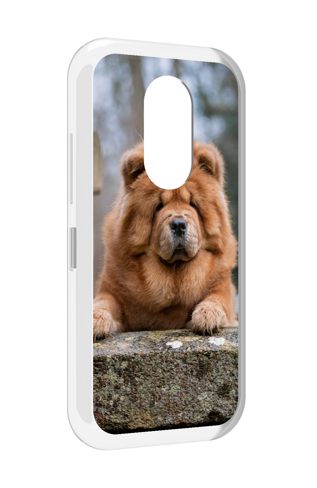 

Чехол MyPads чау чау для Doogee S61 / S61 Pro, Прозрачный, Tocco