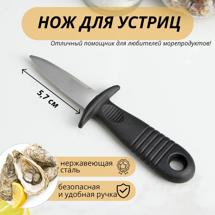 Нож для устриц Доляна, 14x4,4 см, длина лезвия 5,7см