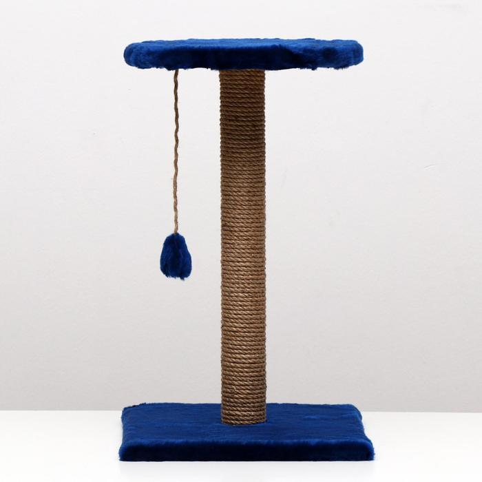 фото Когтеточка "столбик" с круглой полкой и игрушкой, 35 х 35 х 60 см, синяя пижон