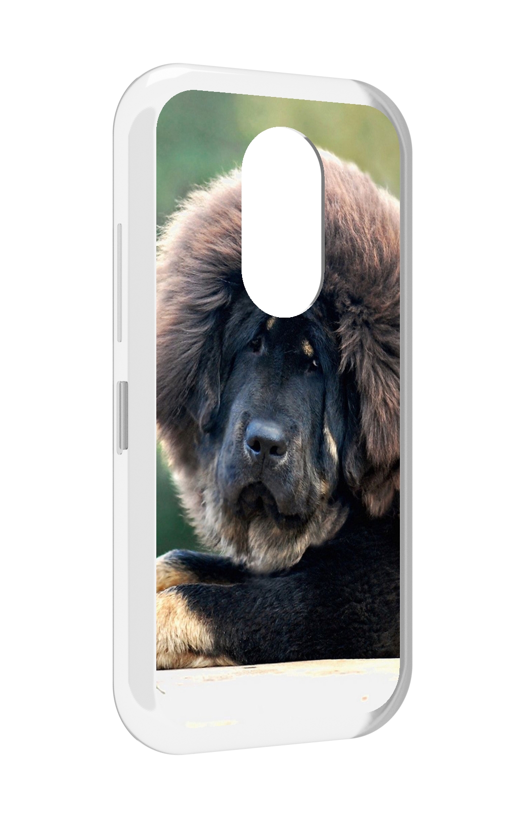 

Чехол MyPads тибетскии мастиф для Doogee S61 / S61 Pro, Прозрачный, Tocco
