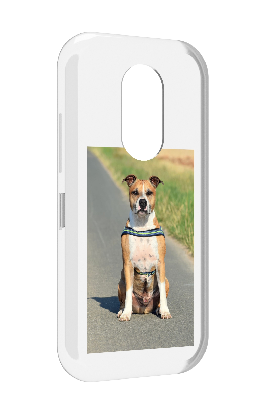 

Чехол MyPads стаффорд терьер для Doogee S61 / S61 Pro, Прозрачный, Tocco