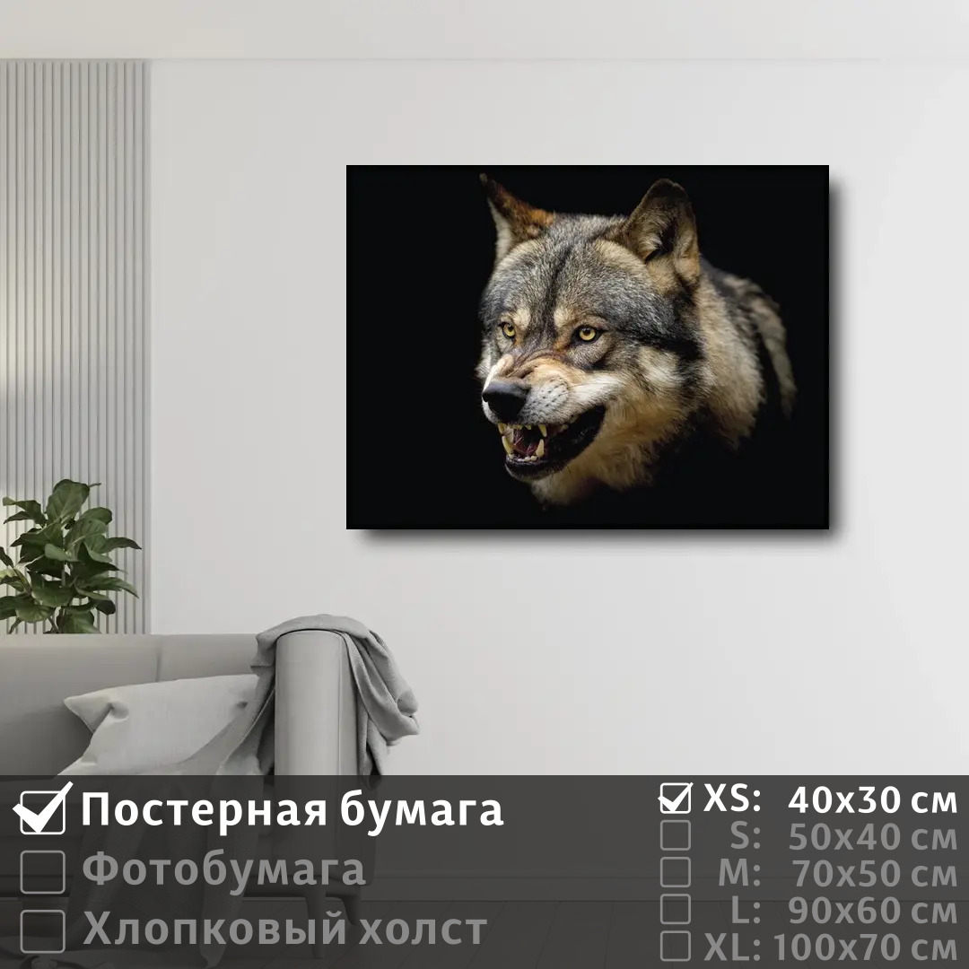 

Постер на стену ПолиЦентр Дикий волк 40х30 см, ДикийВолкТип1