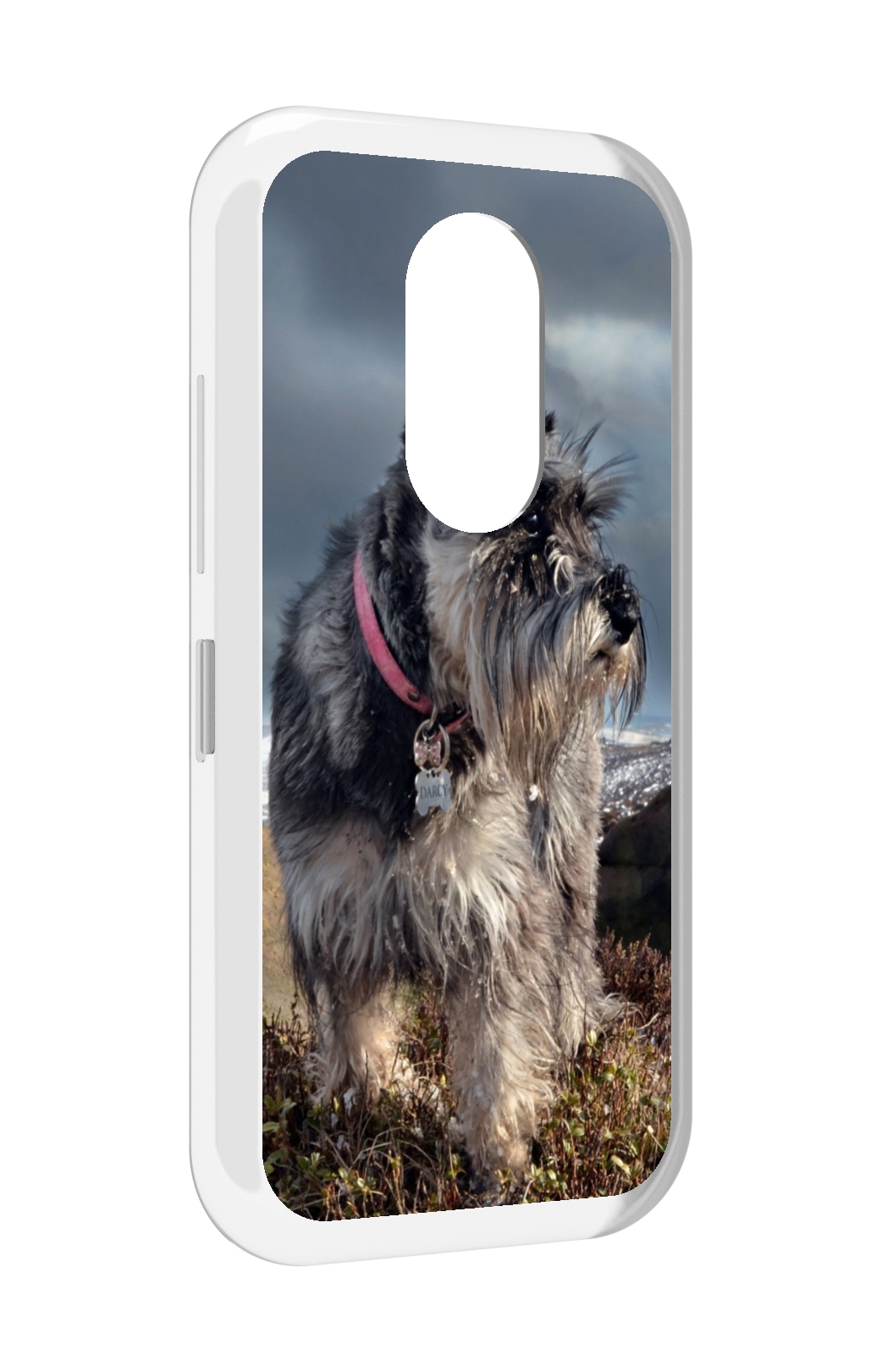 

Чехол MyPads ризеншнауцер 2 для Doogee S61 / S61 Pro, Прозрачный, Tocco