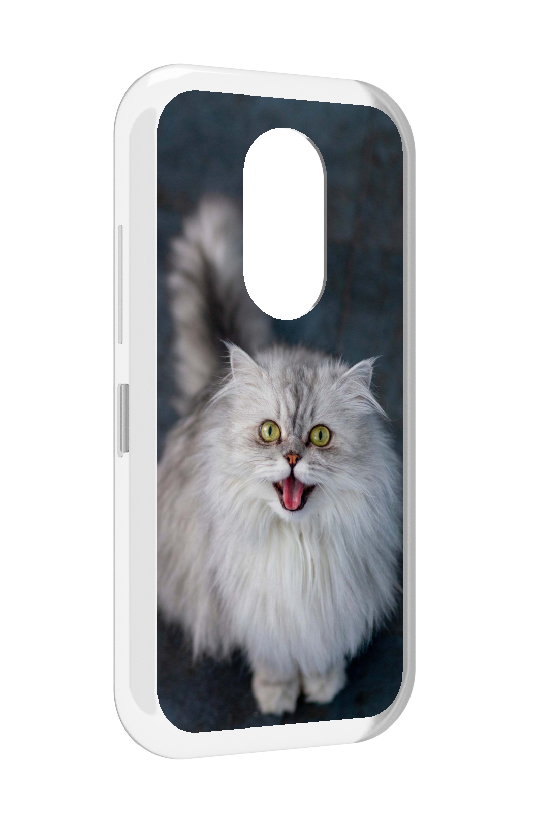 

Чехол MyPads порода кошки британская длинная для Doogee S61 / S61 Pro, Прозрачный, Tocco