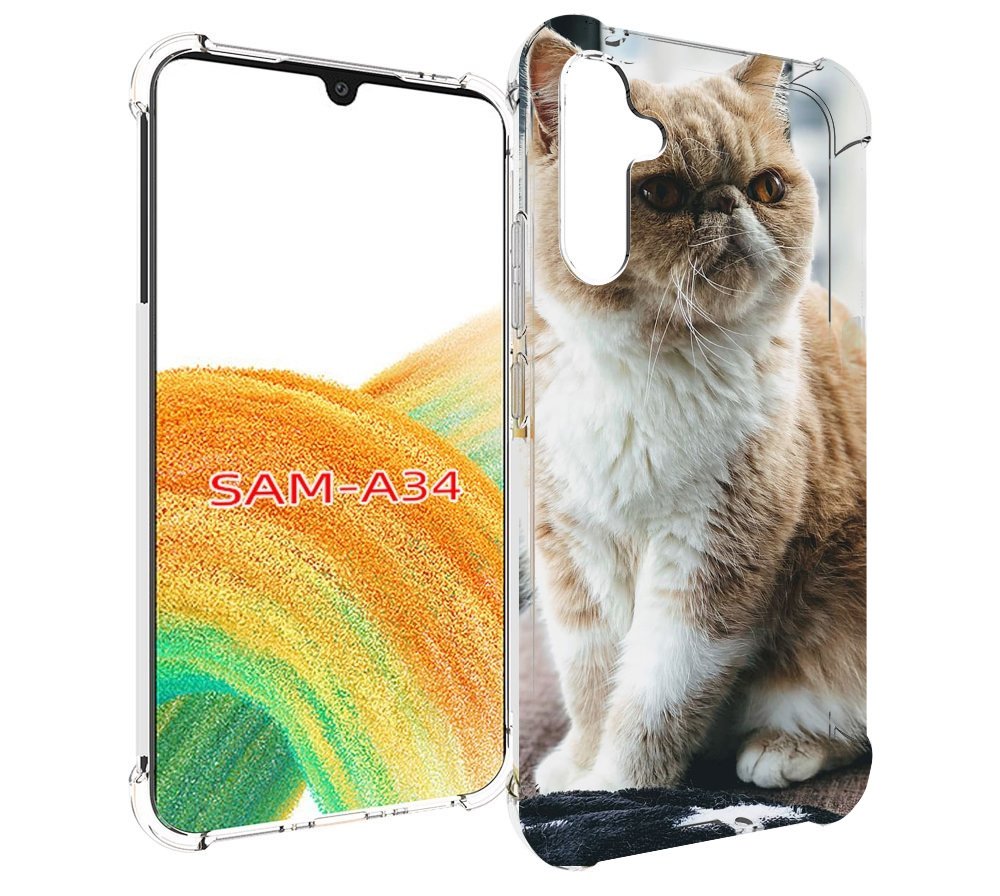 

Чехол MyPads кошка экзот для Samsung Galaxy A34, Tocco