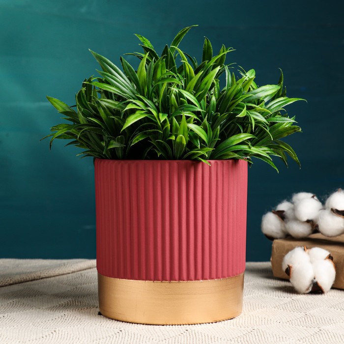 

Цветочный горшок Take It Easy Мартин Р00019392 1,4 л малиновый 1 шт., Разноцветный, Мартин