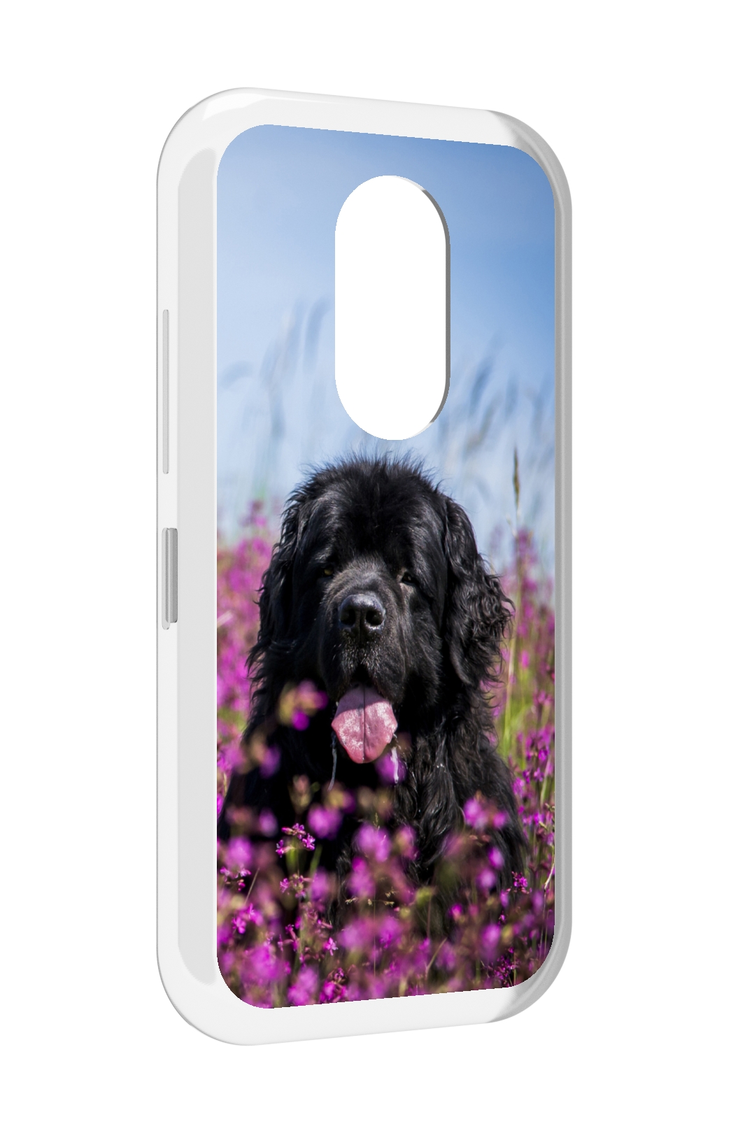 

Чехол MyPads ньюфаундлед для Doogee S61 / S61 Pro, Прозрачный, Tocco