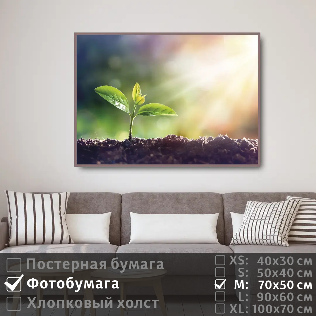 

Постер на фотобумаге ПолиЦентр Лучи на нежной зелени 70х50 см, ЛучиНаНежнойЗелени