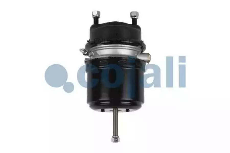 

COJALI Энергоаккумулятор RENAULT тип 24/24 дисковый тормоз COJALI