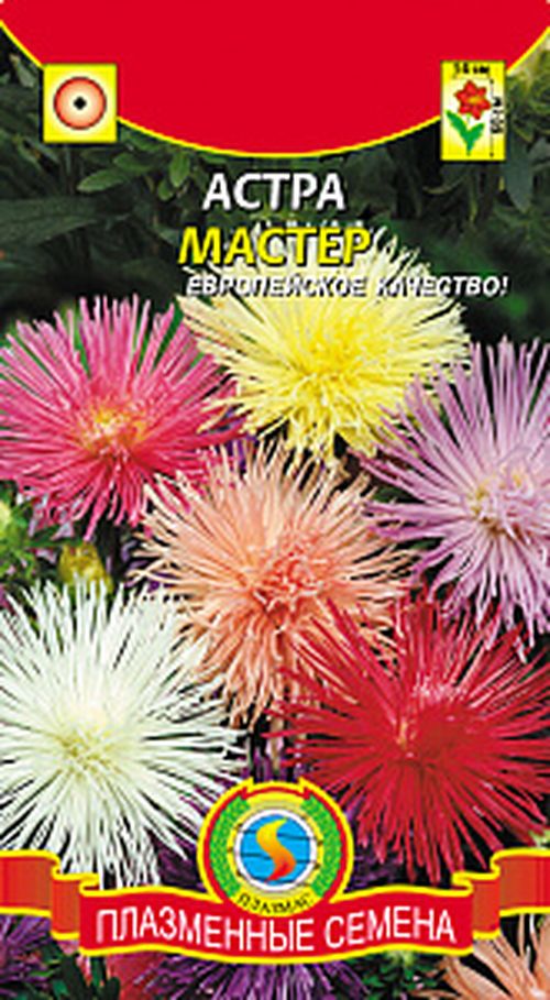 

Семена астра мастер Плазмас 2880 1 уп.