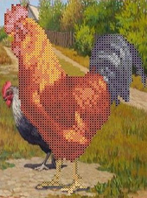 

Рисунок на ткани «Петушок и курочка»