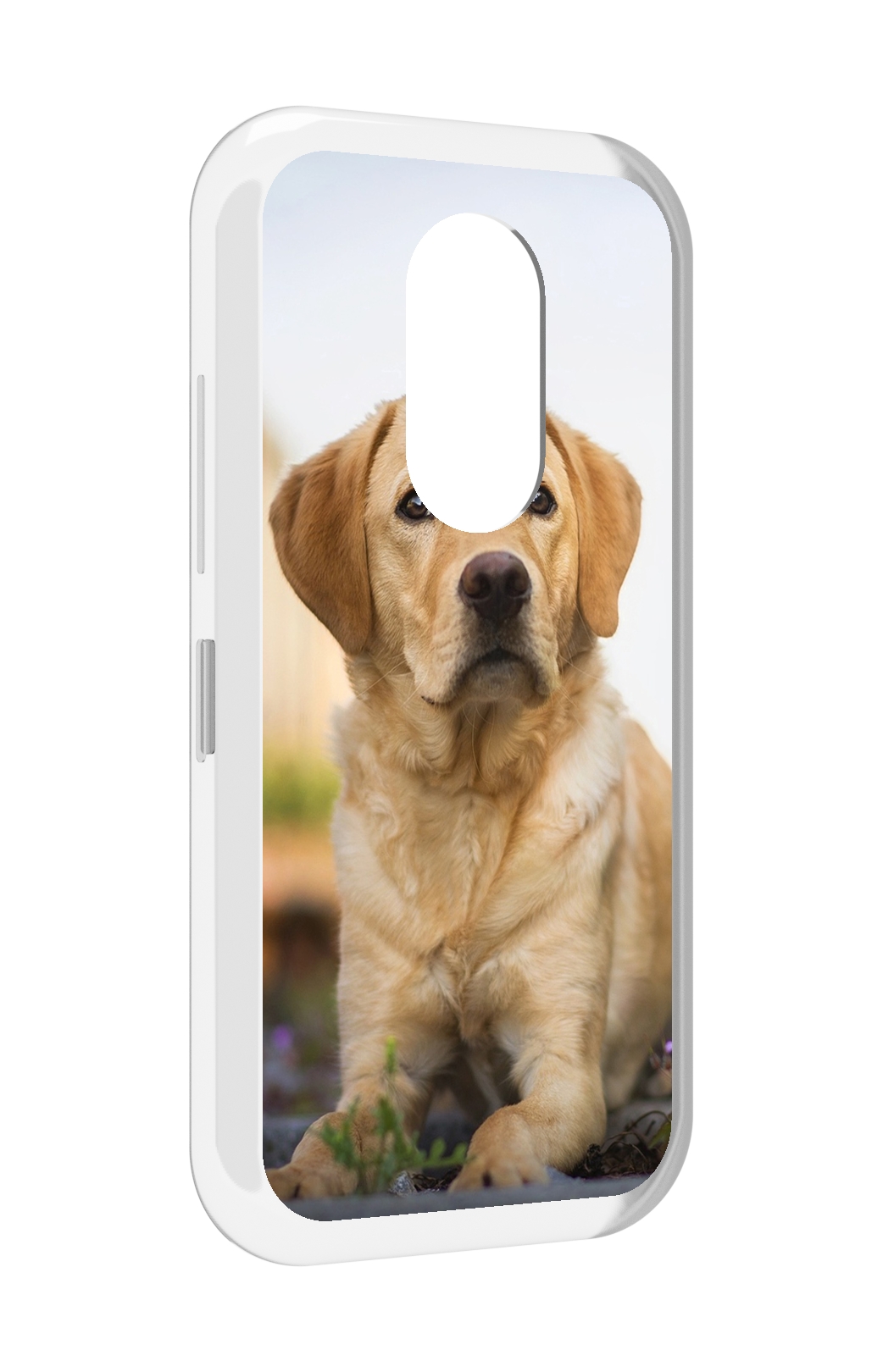 

Чехол MyPads лабрадор ретривер для Doogee S61 / S61 Pro, Прозрачный, Tocco