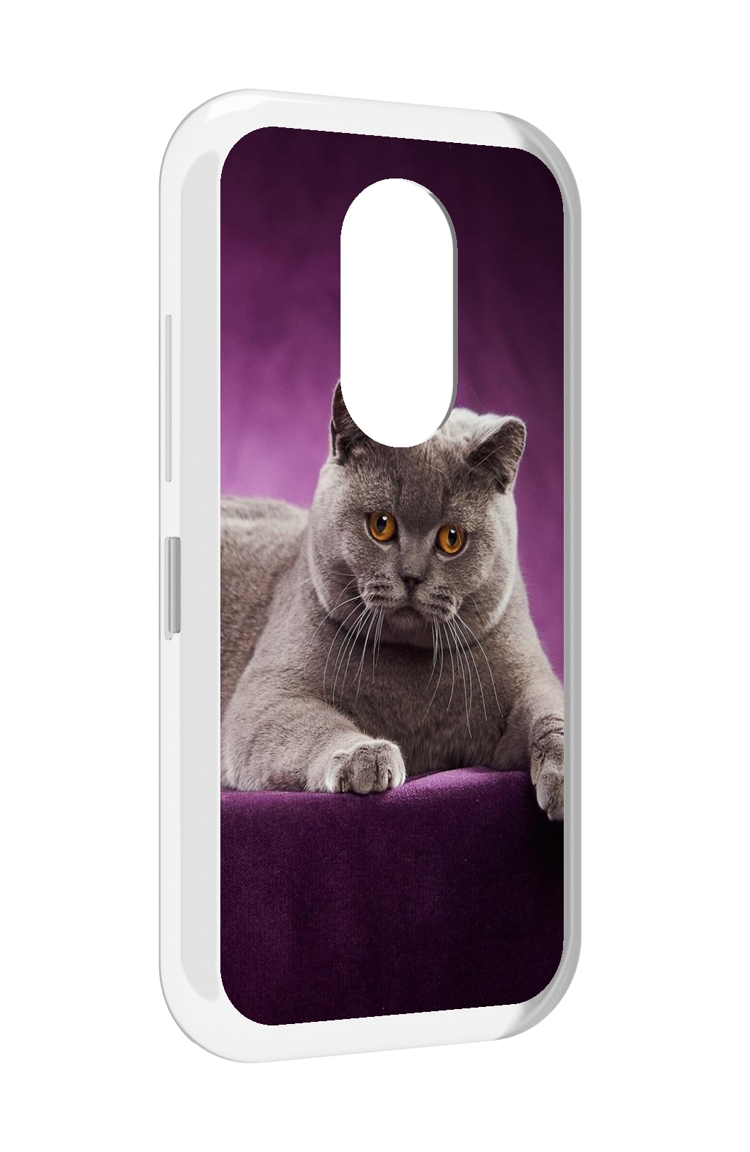 

Чехол MyPads кошка британская короткая для Doogee S61 / S61 Pro, Прозрачный, Tocco