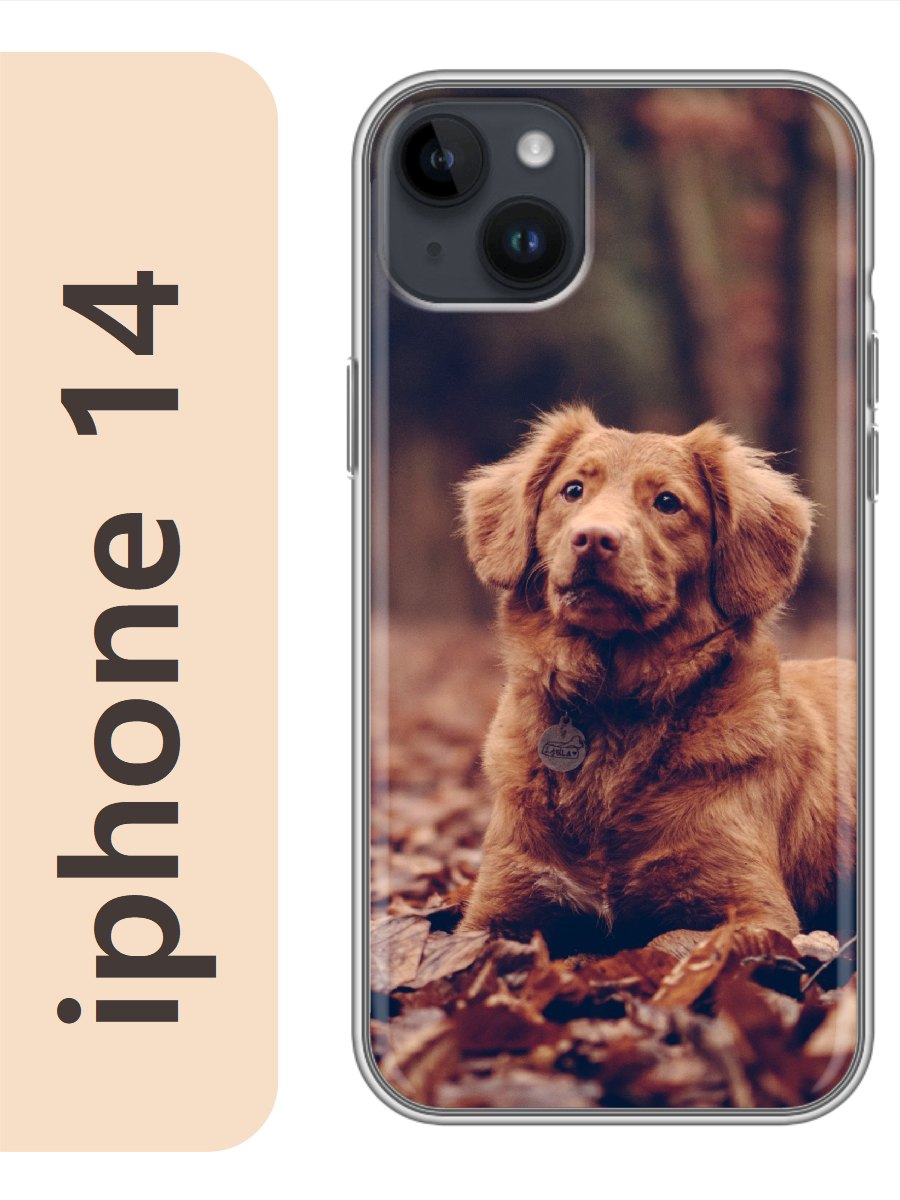 

Чехол на Apple Iphone 14 пес в листьях 833, Iph14dogs