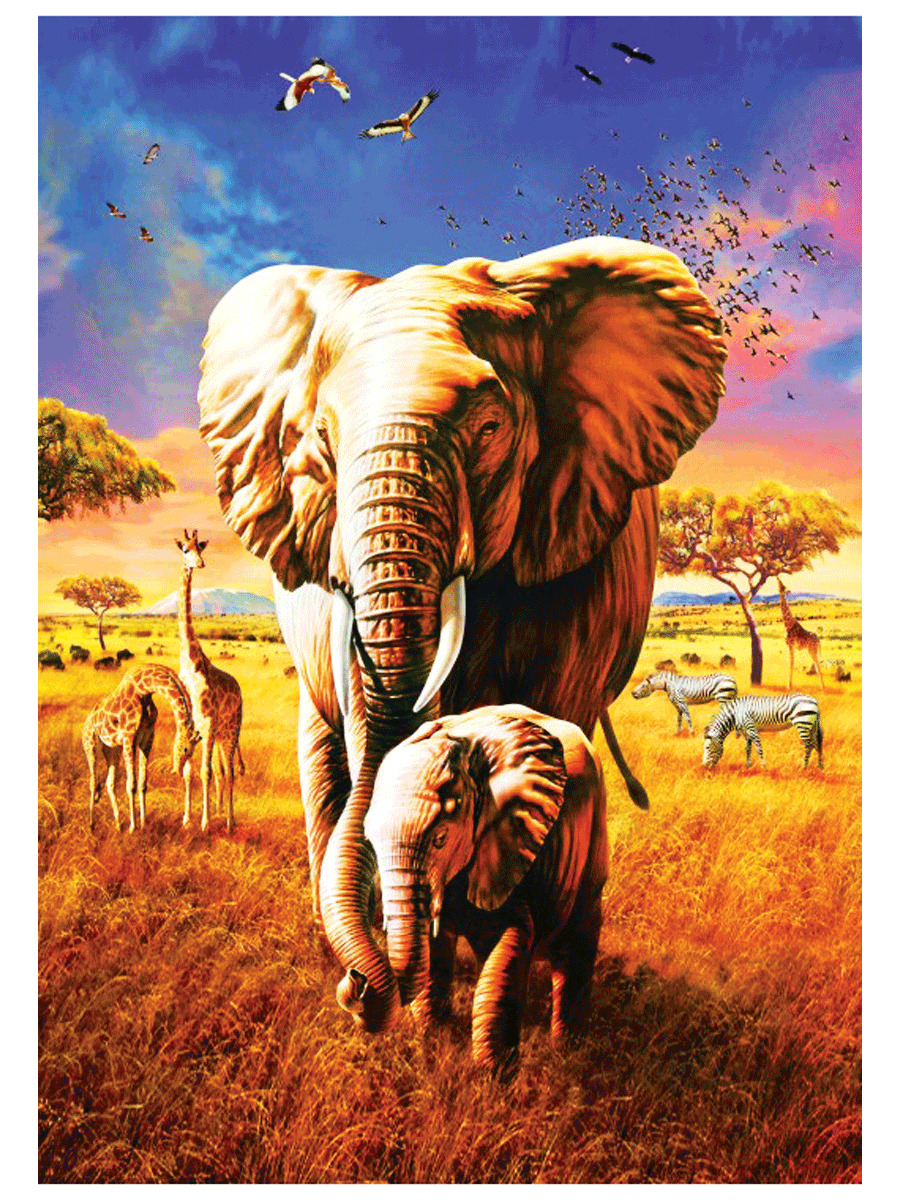 

Пазл Bluebird Elephant 1000 эл. BL70314-P