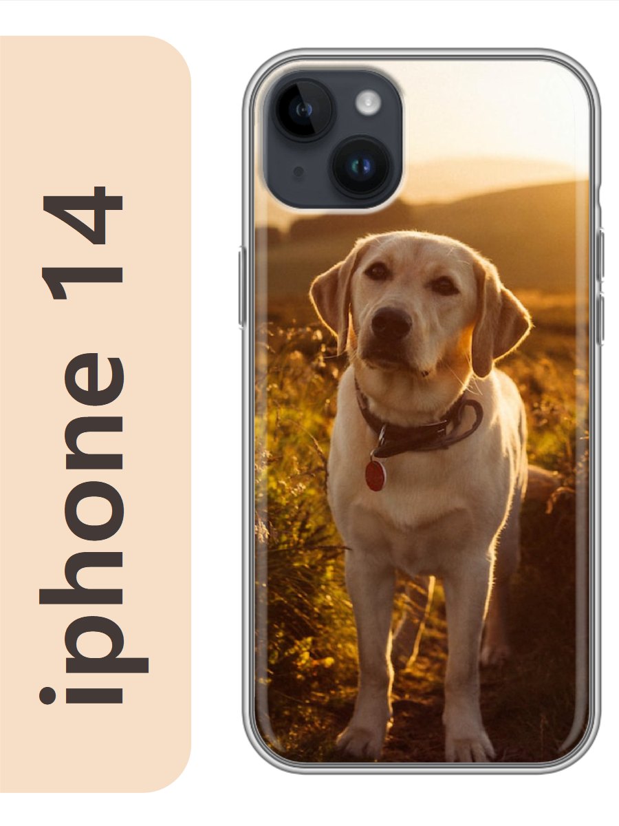 

Чехол на Apple Iphone 14 лабрадор в поле 802, Iph14dogs