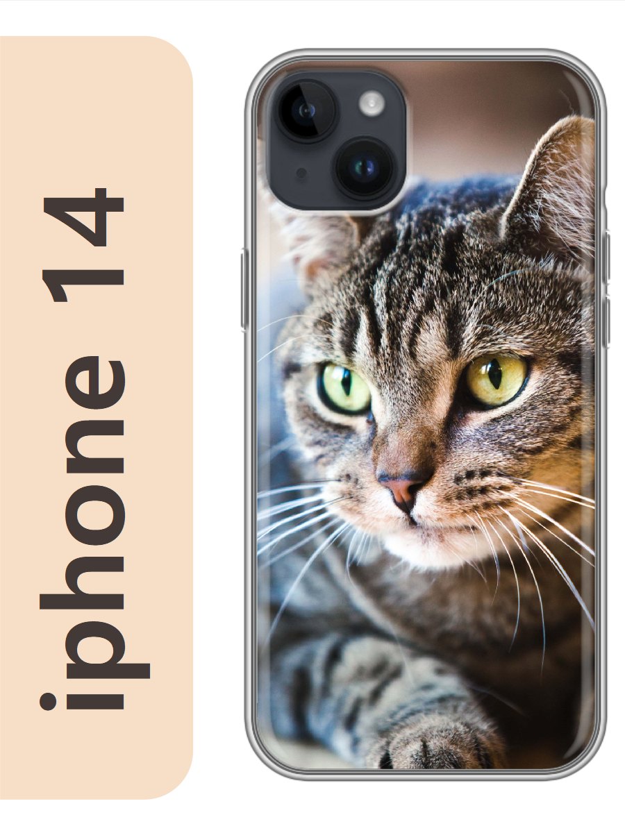 

Чехол на Apple Iphone 14 кот полосатый 800, Iph14cat2