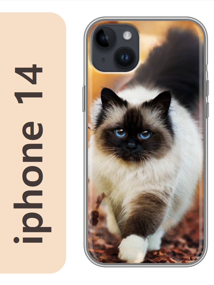 

Чехол на Apple Iphone 14 кошка рэгдолл 787, Прозрачный, Iph14cat2