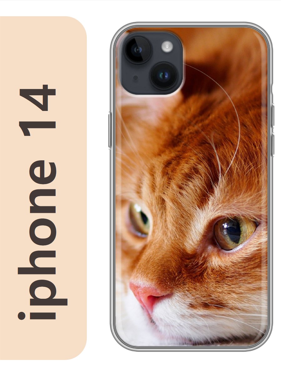 

Чехол на Apple Iphone 14 рыжий кот 783, Прозрачный, Iph14cat2