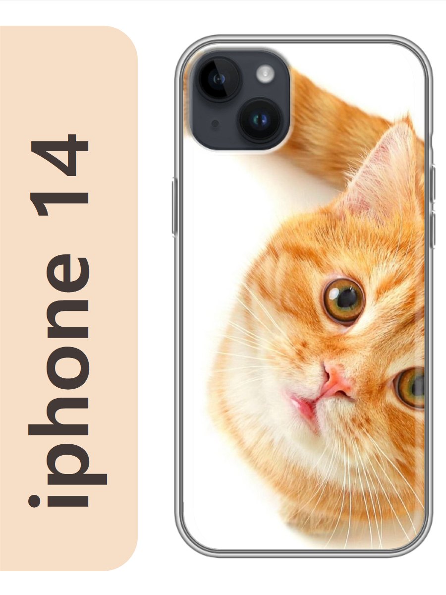 

Чехол на Apple Iphone 14 рыжий кот 781, Прозрачный, Iph14cat2