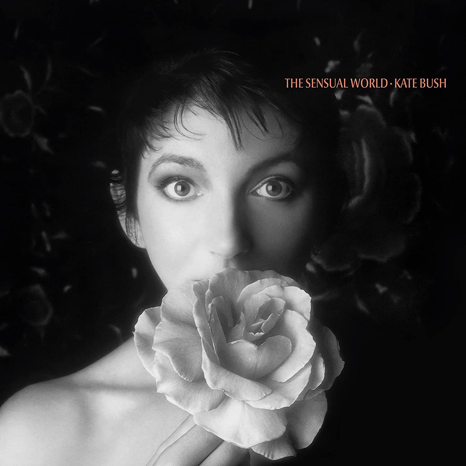 фото Kate bush the sensual world (винил) мистерия звука