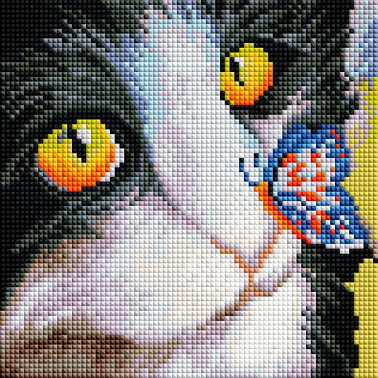 

Алмазная вышивка «Котенок и бабочка»