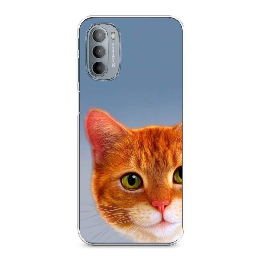 

Чехол на Motorola Moto G31 "Любопытный котик", Коричневый, 241850-1