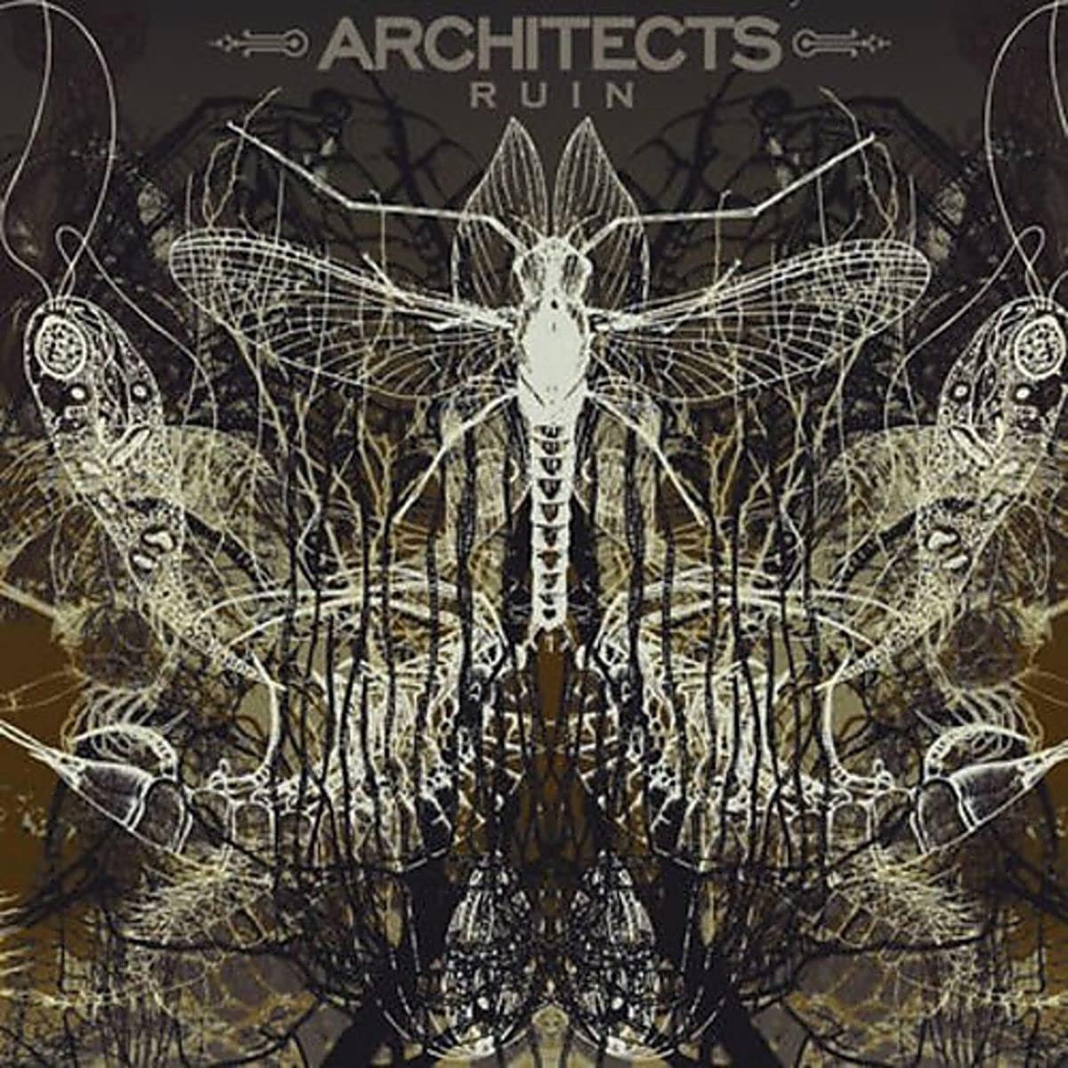 Architects Ruin (Винил)