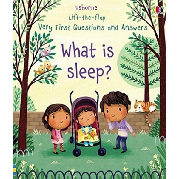 

Lift-the-Flap Very First Questions and Answers: What is Sleep