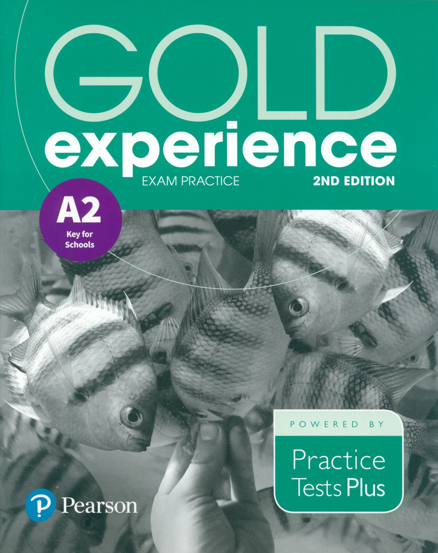 

Gold Experience 2nd Edition Exam Practice A2 Key For School Practice Tests Plus