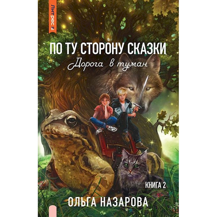 

По ту сторону сказки. Дорога в туман. Кн. 2