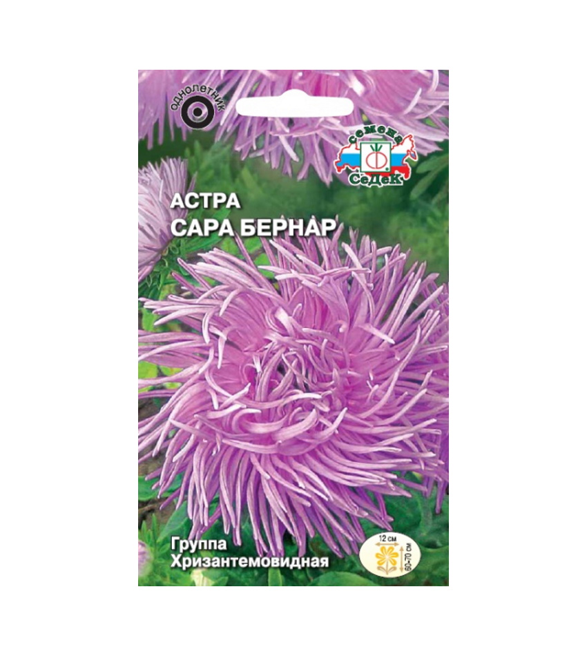 

Семена Астра Сара Бернар Седек Однолетние 65226 0,2 гр