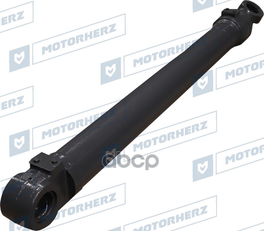 

Гидроцилиндр Стрелы Motorherz арт. 100AA0035ZZ