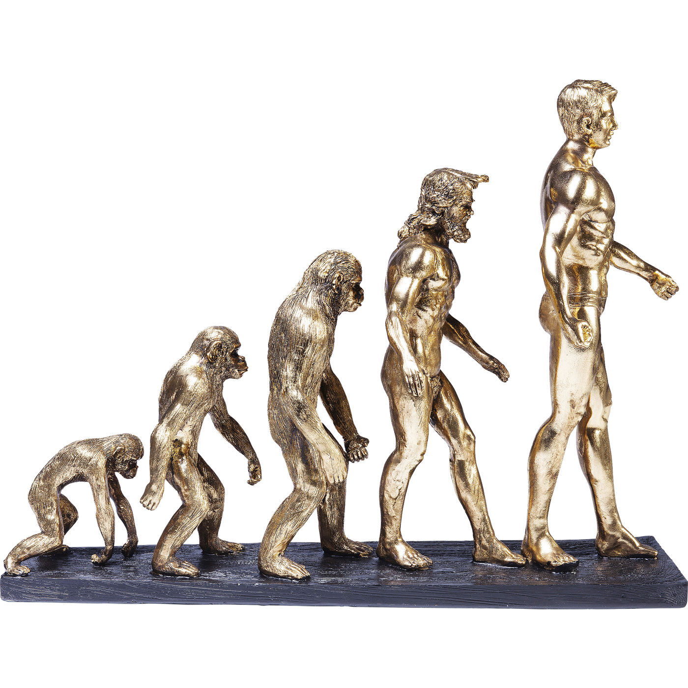 

Фигура декоративная KARE Design, коллекция Evolution, 58х43х19 см, Evolution