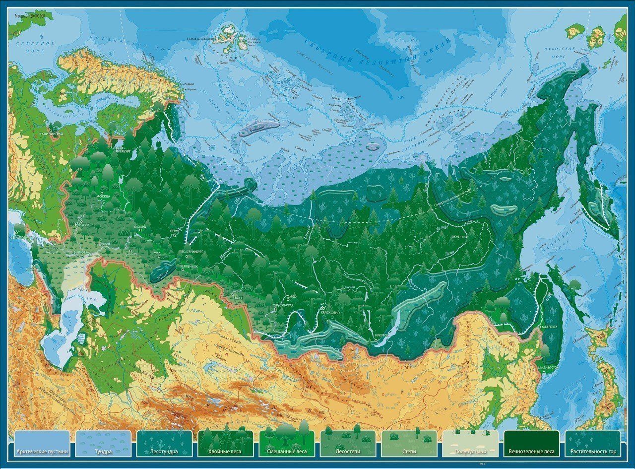 

Карта-пазл Globusoff Двусторонняя Природные Зоны и Животные России