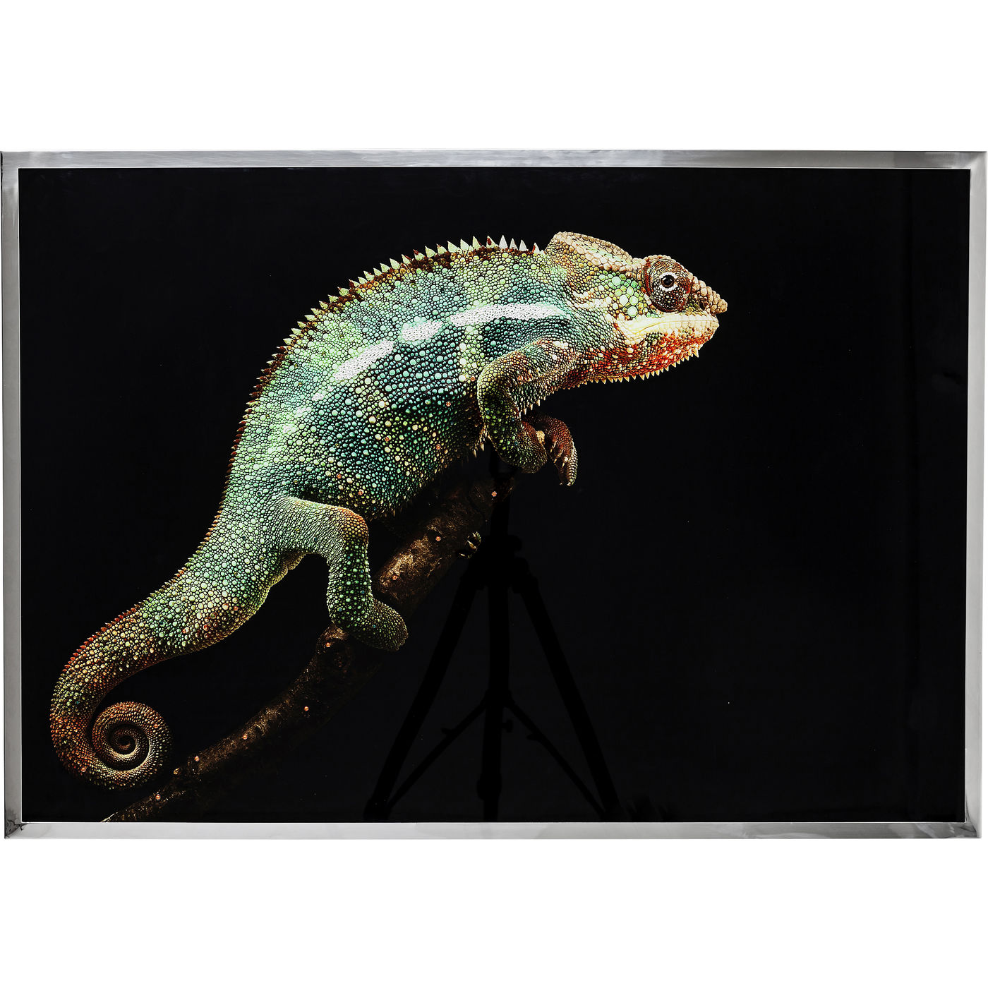 Украшение настенное KARE Design, коллекция Chameleon, 103х72х2 см
