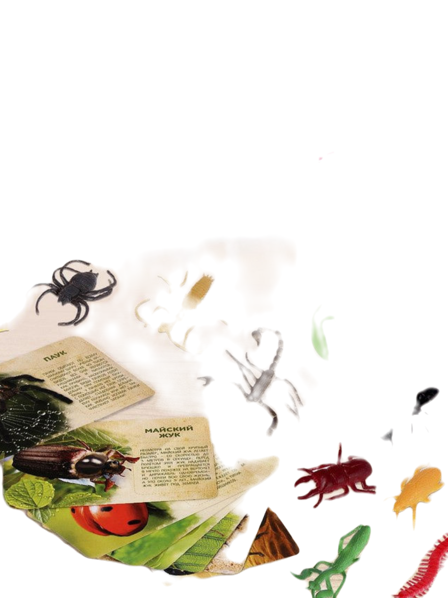 фото Набор животных с обучающими карточками в мире насекомых iq-zabiaka