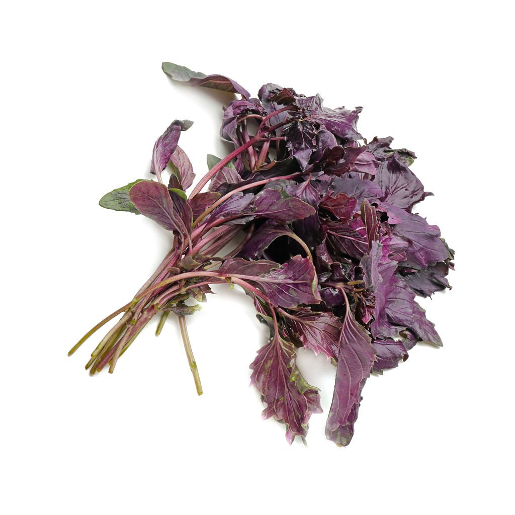 

Базилик Израиль 20 г