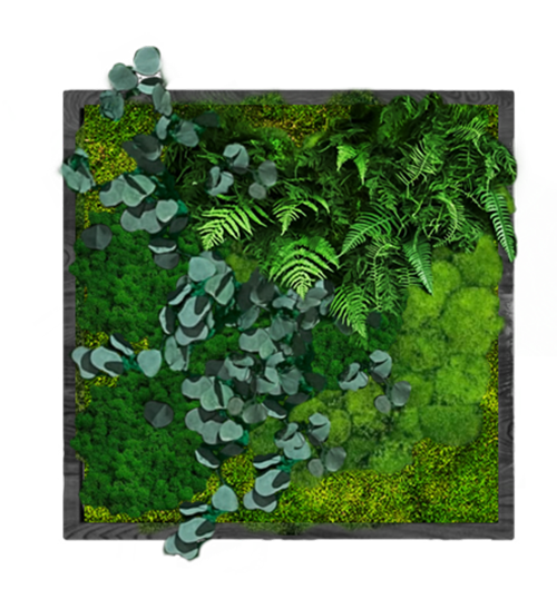

Панно 50х50см для интерьера GardenGo из натурального стабилизированного мха зеленого цвета, 15
