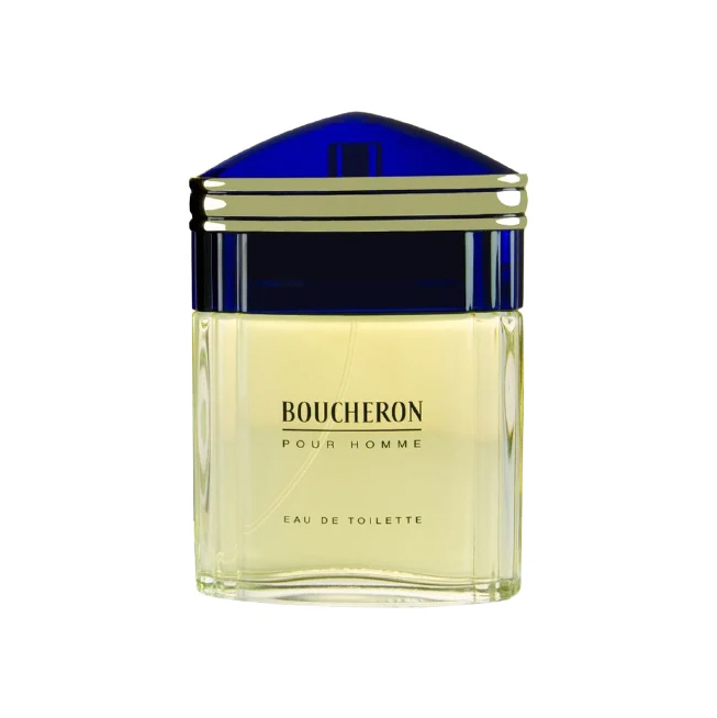 Вода туалетная Boucheron Pour Homme, мужская, 100 мл boucheron quatre absolue de nuit pour homme