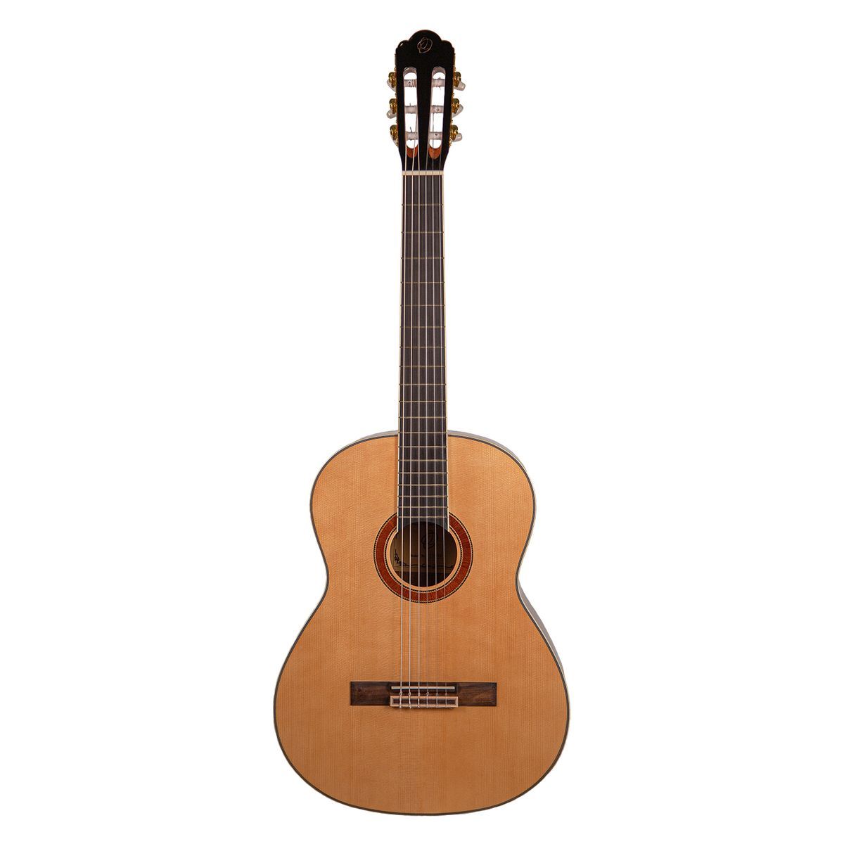 Акустическая гитара Omni cg-410 чехол