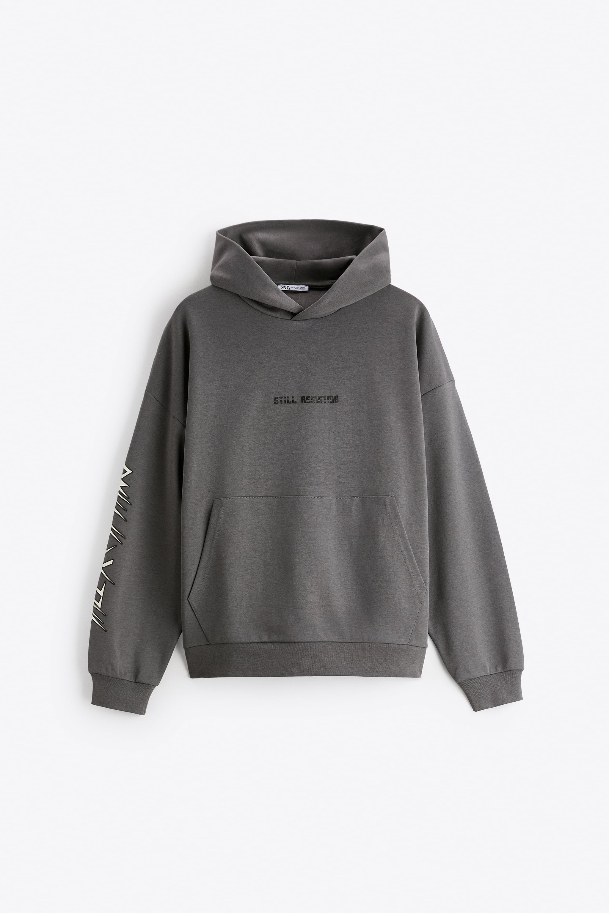 

Худи мужское ZARA 04087423 серое XL (доставка из-за рубежа), Серый, 04087423