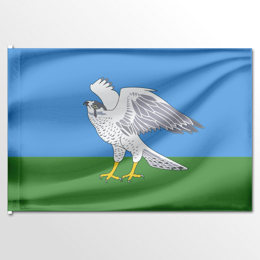 

Флаг ЦТП ФЕНИКС Миякинского района 135x90 см, 396-135x90