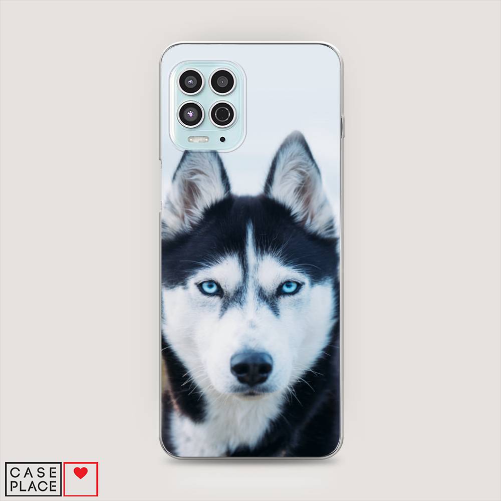 

Чехол на Motorola Moto G100 "Хаски 2", Синий;белый, 241650-1